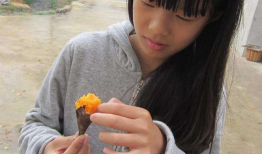 性爱交直播,性爱交互动画背后的伦理与挑战